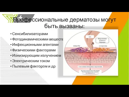 Профессиональные дерматозы могут быть вызваны: Сенсибилизаторами Фотодинамическими веществами Инфекционными агентами Физическими