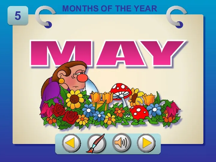 MAY MONTHS OF THE YEAR 5