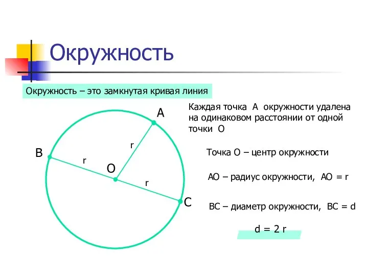 Окружность Каждая точка А окружности удалена на одинаковом расстоянии от одной