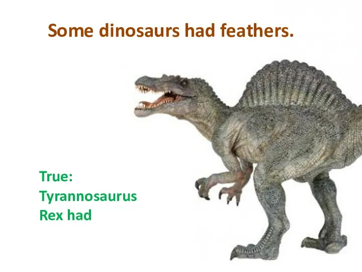 Some dinosaurs had feathers. True: Tyrannosaurus Rex had