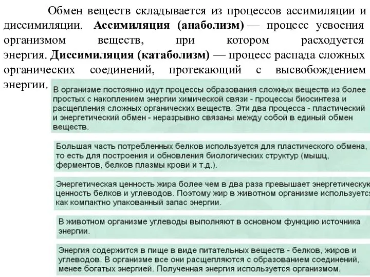 Обмен веществ складывается из процессов ассимиляции и диссимиляции. Ассимиляция (анаболизм) —