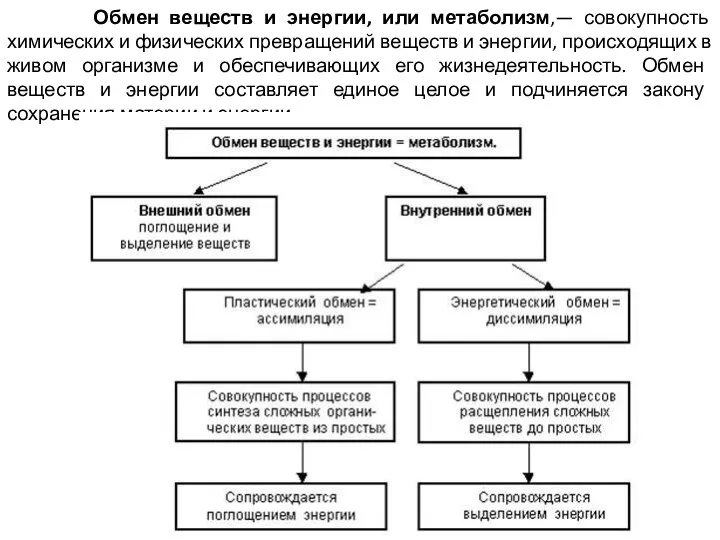 Обмен веществ и энергии, или метаболизм,— совокупность химических и физических превращений