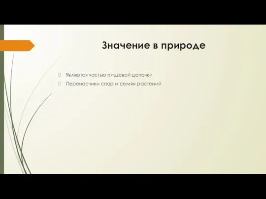 Значение в природе Являются частью пищевой цепочки Переносчики спор и семян растений