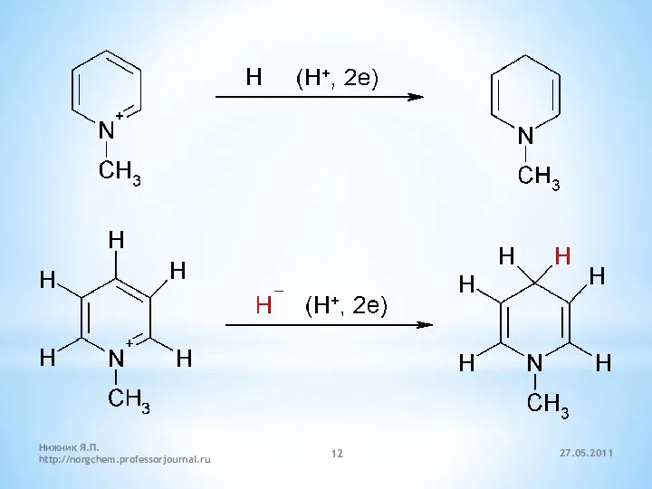 27.05.2011 Нижник Я.П. http://norgchem.professorjournal.ru