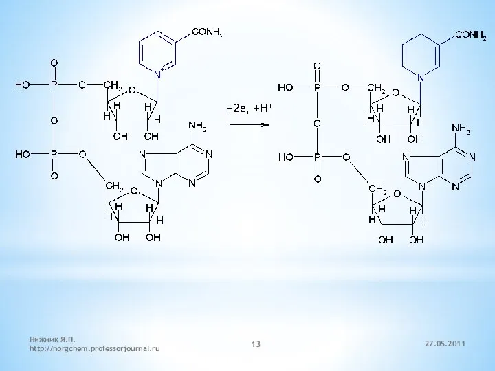 27.05.2011 Нижник Я.П. http://norgchem.professorjournal.ru