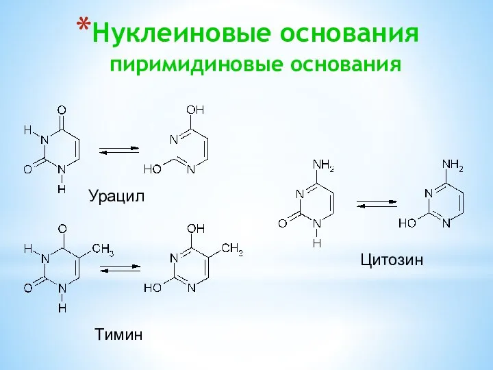 Нуклеиновые основания пиримидиновые основания Урацил Тимин Цитозин