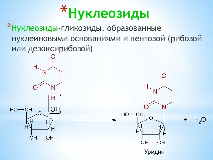 Нуклеозиды Нуклеозиды-гликозиды, образованные нуклеиновыми основаниями и пентозой (рибозой или дезоксирибозой) Уридин