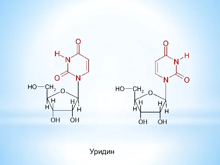 Уридин