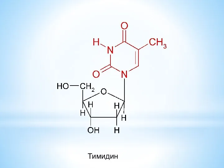 Тимидин