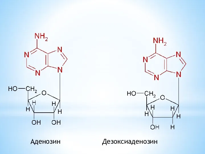 Аденозин Дезоксиаденозин