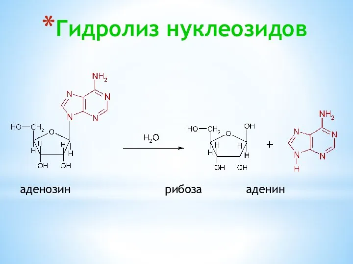 Гидролиз нуклеозидов аденозин рибоза аденин