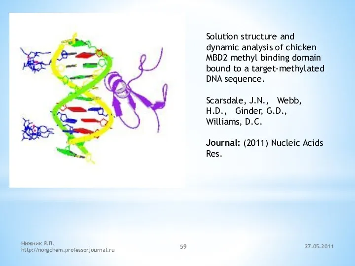 27.05.2011 Нижник Я.П. http://norgchem.professorjournal.ru Solution structure and dynamic analysis of chicken