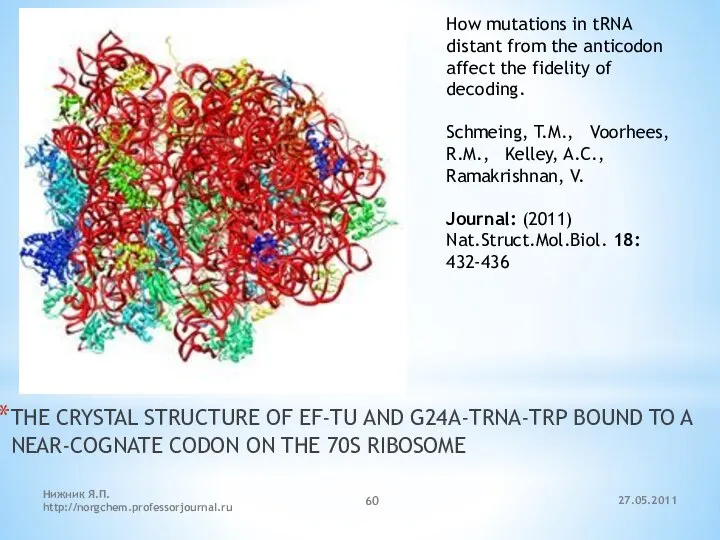 27.05.2011 Нижник Я.П. http://norgchem.professorjournal.ru THE CRYSTAL STRUCTURE OF EF-TU AND G24A-TRNA-TRP