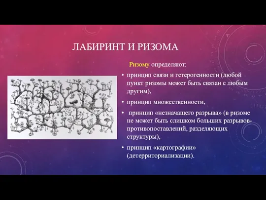 ЛАБИРИНТ И РИЗОМА Ризому определяют: принцип связи и гетерогенности (любой пункт