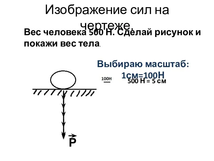 Изображение сил на чертеже. Выбираю масштаб: 1см=100Н Р Вес человека 500