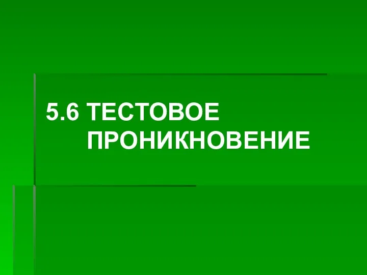 5.6 ТЕСТОВОЕ ПРОНИКНОВЕНИЕ