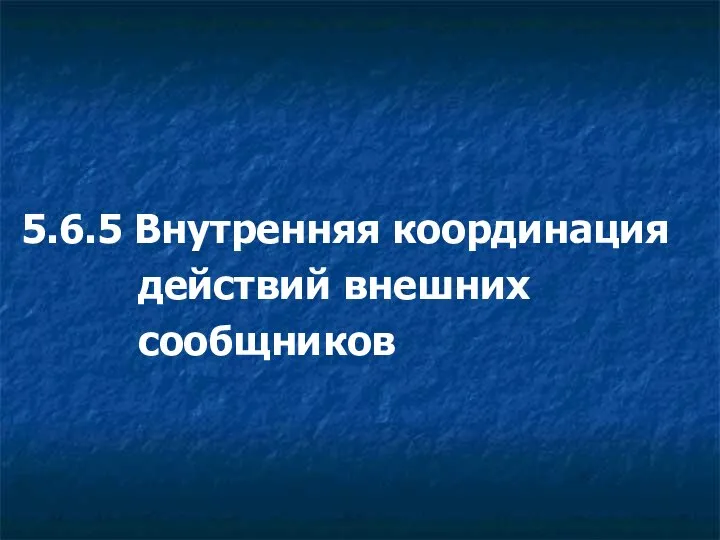 5.6.5 Внутренняя координация действий внешних сообщников