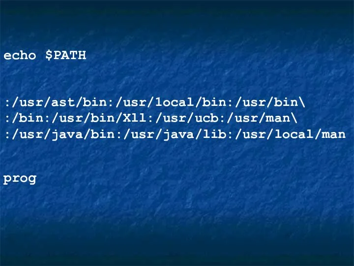 echo $PATH :/usr/ast/bin:/usr/1ocal/bin:/usr/bin\ :/bin:/usr/bin/Xll:/usr/ucb:/usr/man\ :/usr/java/bin:/usr/java/lib:/usr/local/man prog