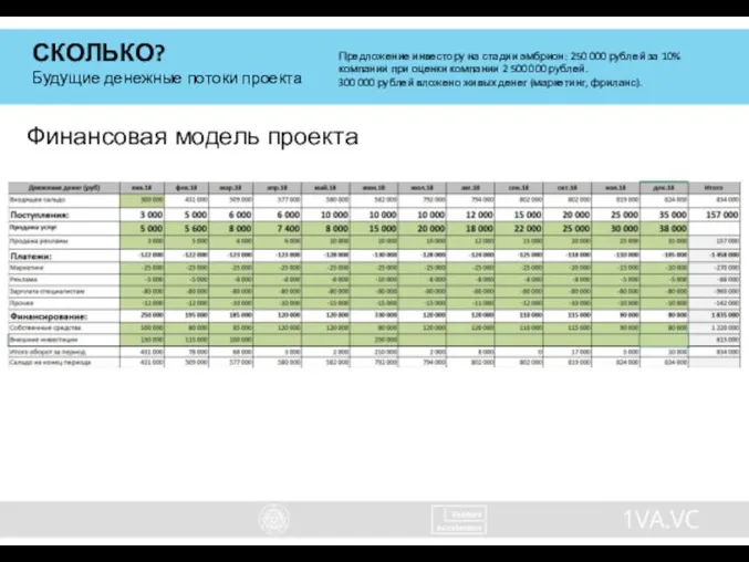 СКОЛЬКО? Будущие денежные потоки проекта Предложение инвестору на стадии эмбрион: 250