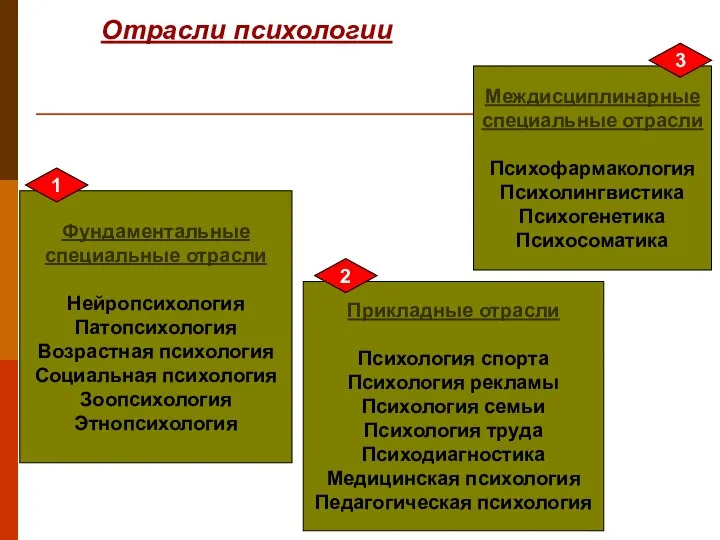 Отрасли психологии Фундаментальные специальные отрасли Нейропсихология Патопсихология Возрастная психология Социальная психология