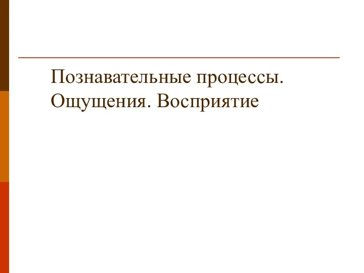 Познавательные процессы. Ощущения. Восприятие