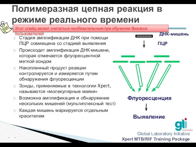 ДНК-мишень ПЦР Флуоресценция Выявление Полимеразная цепная реакция в режиме реального времени