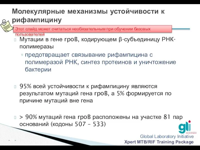 Молекулярные механизмы устойчивости к рифампицину Мутации в гене rpoB, кодирующем β-субъединицу