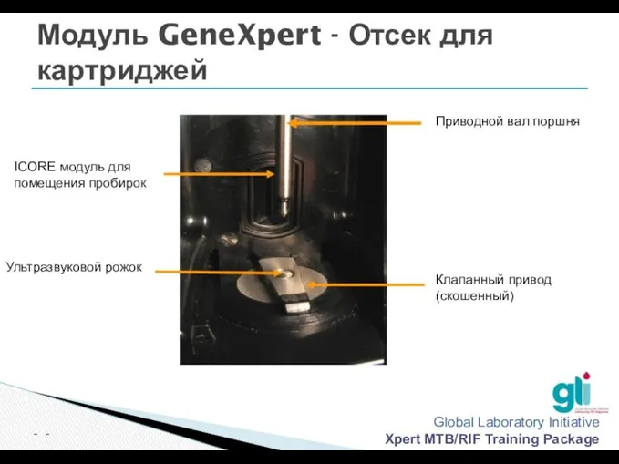 Модуль GeneXpert - Отсек для картриджей Приводной вал поршня Приводной вал