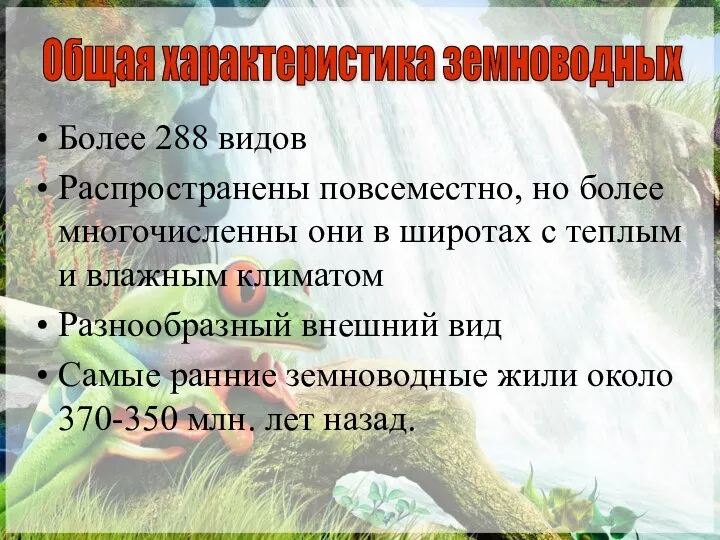 Более 288 видов Распространены повсеместно, но более многочисленны они в широтах