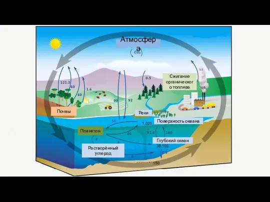 Атмосфера Сжигание органического топлива Реки Поверхность океана Глубокий океан Растворённый углерод Планктон Почвы