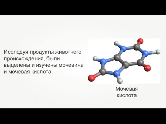 Исследуя продукты животного происхождения, были выделены и изучены мочевина и мочевая кислота. AbcdKolya Мочевая кислота