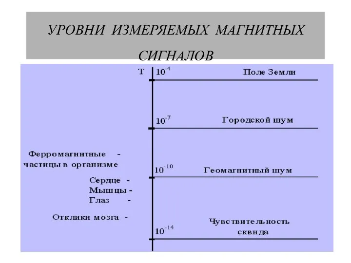 УРОВНИ ИЗМЕРЯЕМЫХ МАГНИТНЫХ СИГНАЛОВ