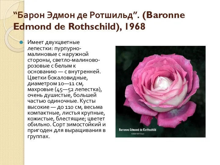 “Барон Эдмон де Ротшильд”. (Baronne Edmond de Rothschild), 1968 Имеет двухцветные