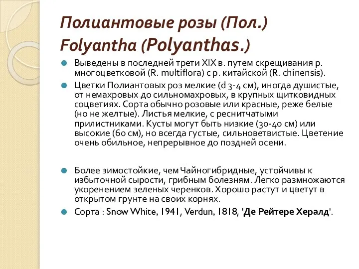 Полиантовые розы (Пол.) Folyantha (Polyanthas.) Выведены в последней трети XIX в.