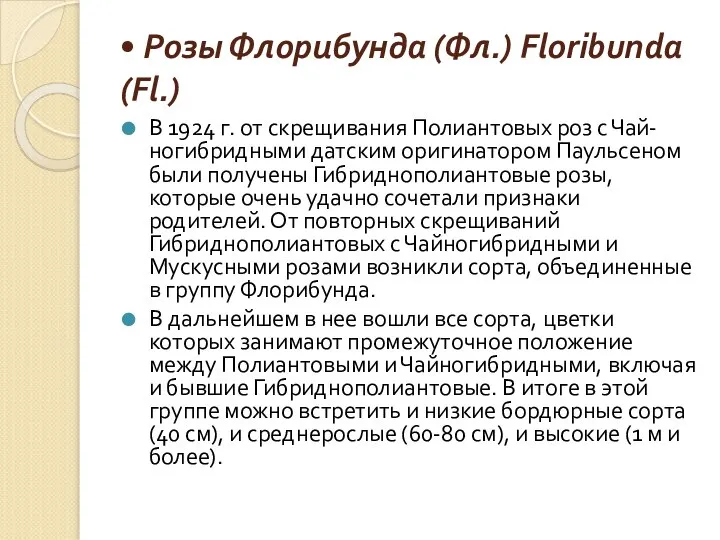 • Розы Флорибунда (Фл.) Floribunda (Fl.) В 1924 г. от скрещивания