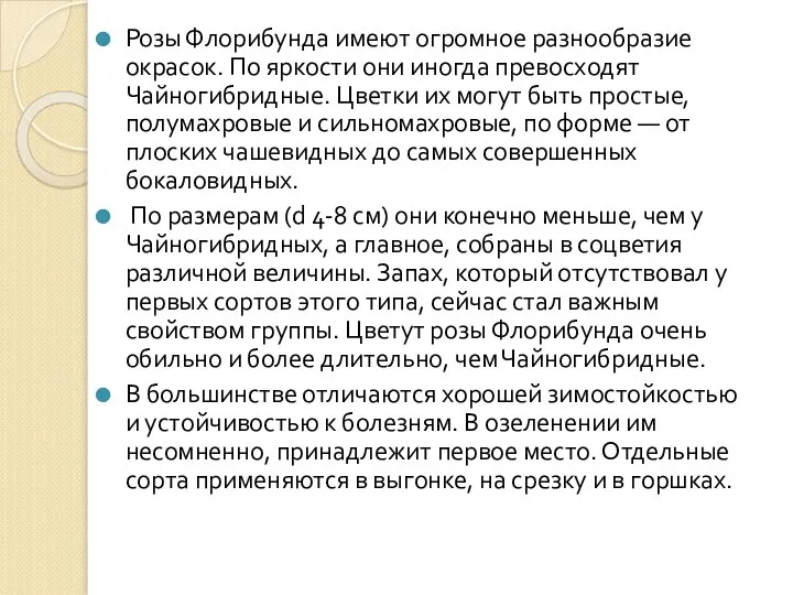 Розы Флорибунда имеют огромное разнообразие окрасок. По яркости они иногда превосходят