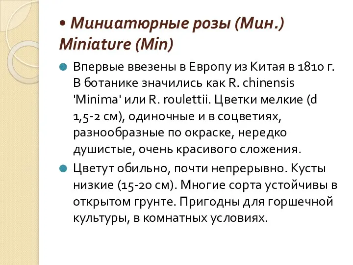 • Миниатюрные розы (Мин.) Miniature (Min) Впервые ввезены в Европу из