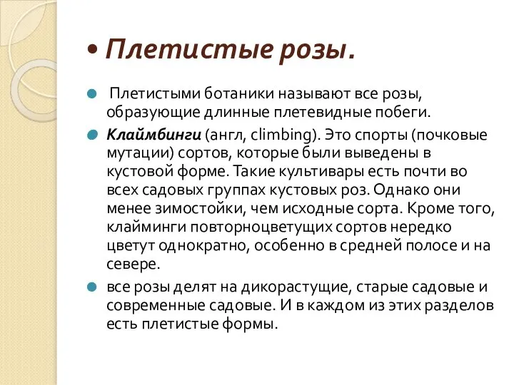 • Плетистые розы. Плетистыми ботаники называют все розы, образующие длинные плетевидные