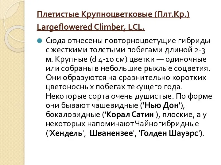 Плетистые Крупноцветковые (Плт.Кр.) Largeflowered Climber, LCL. Сюда отнесены повторноцветущие гибриды с