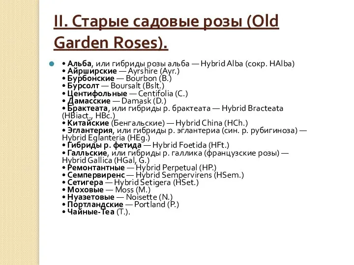 II. Старые садовые розы (Old Garden Roses). • Альба, или гибриды