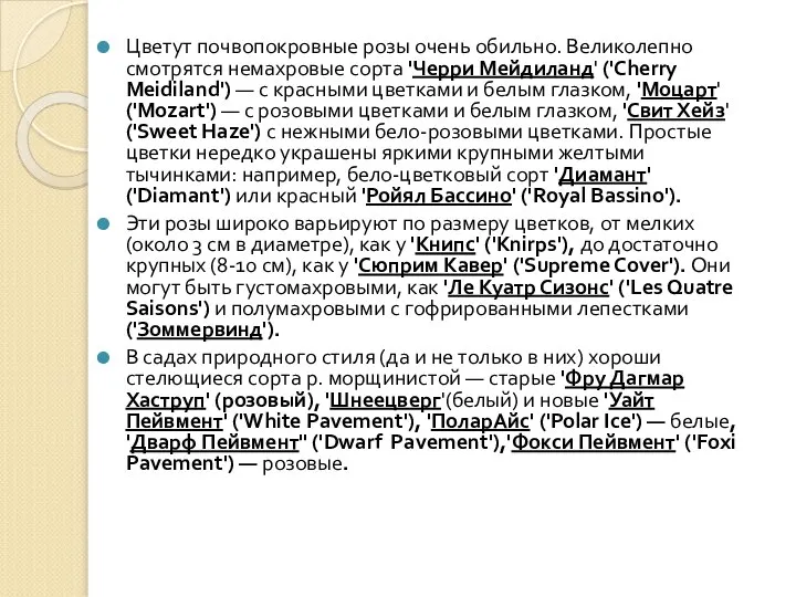 Цветут почвопокровные розы очень обильно. Великолепно смотрятся немахровые сорта 'Черри Мейдиланд'