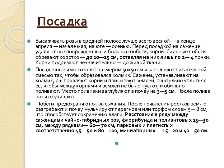 Посадка Высаживать розы в средней полосе лучше всего весной — в