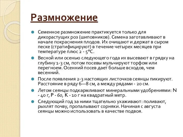 Размножение Семенное размножение практикуется только для дикорастущих роз (шиповников). Семена заготавливают