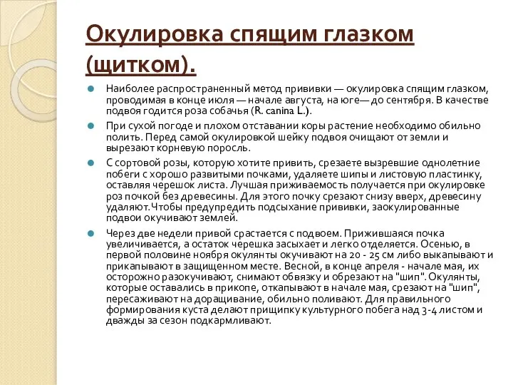 Окулировка спящим глазком (щитком). Наиболее распространенный метод прививки — окулировка спящим