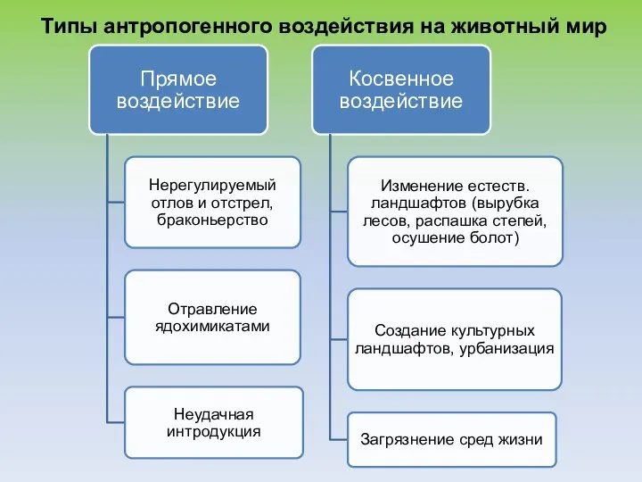 Типы антропогенного воздействия на животный мир