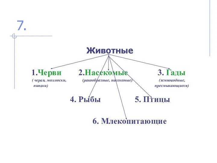 7. Животные 1.Черви 2.Насекомые 3. Гады ( черви, моллюски, (ракообразные, насекомые)