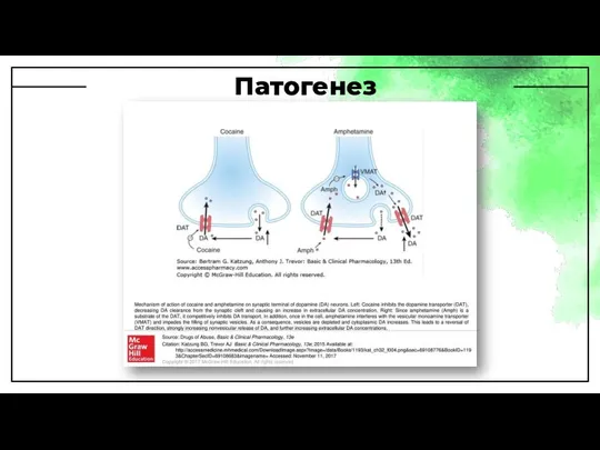 Патогенез