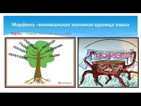 Корень – главная значимая часть слова. . Морфема –минимальная значимая единица языка