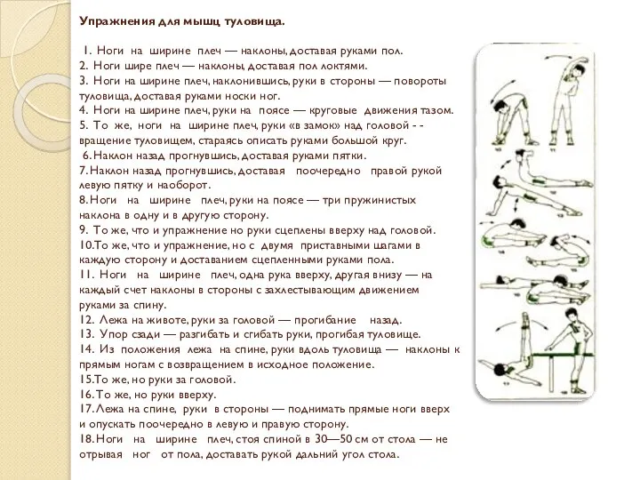 Упражнения для мышц туловища. 1. Ноги на ширине плеч — наклоны,