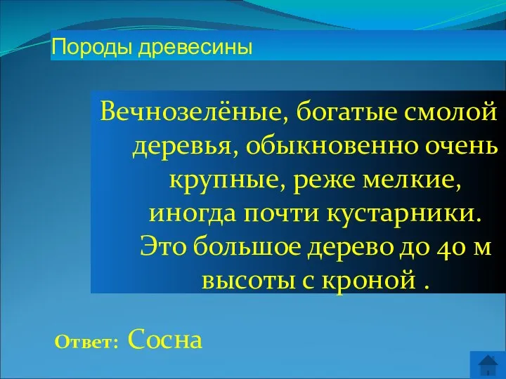 Ответ: Сосна Породы древесины Вечнозелёные, богатые смолой деревья, обыкновенно очень крупные,